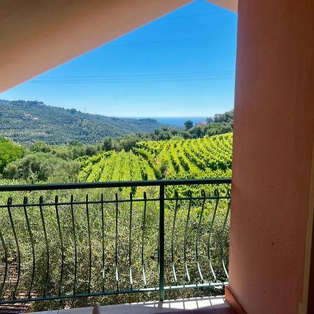 Agriturismo Ada Musso Ss Diano Borello Bagian luar foto