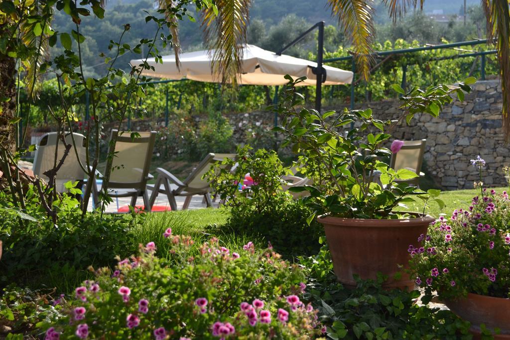 Agriturismo Ada Musso Ss Diano Borello Bagian luar foto