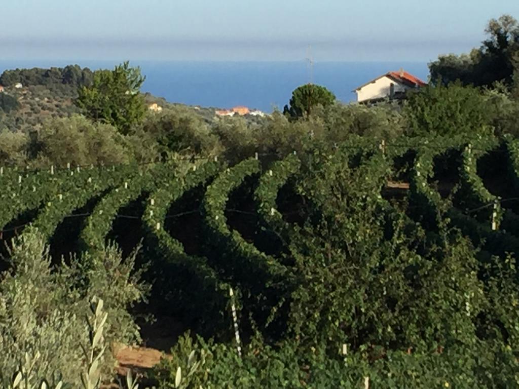 Agriturismo Ada Musso Ss Diano Borello Bagian luar foto