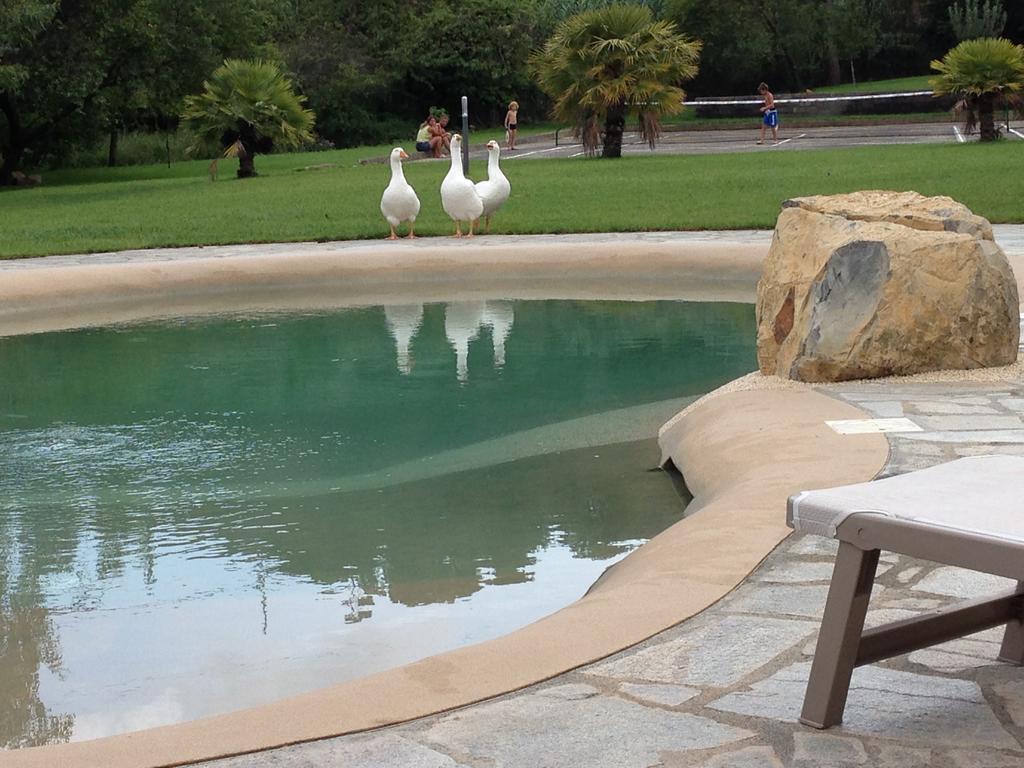 Agriturismo Ada Musso Ss Diano Borello Bagian luar foto
