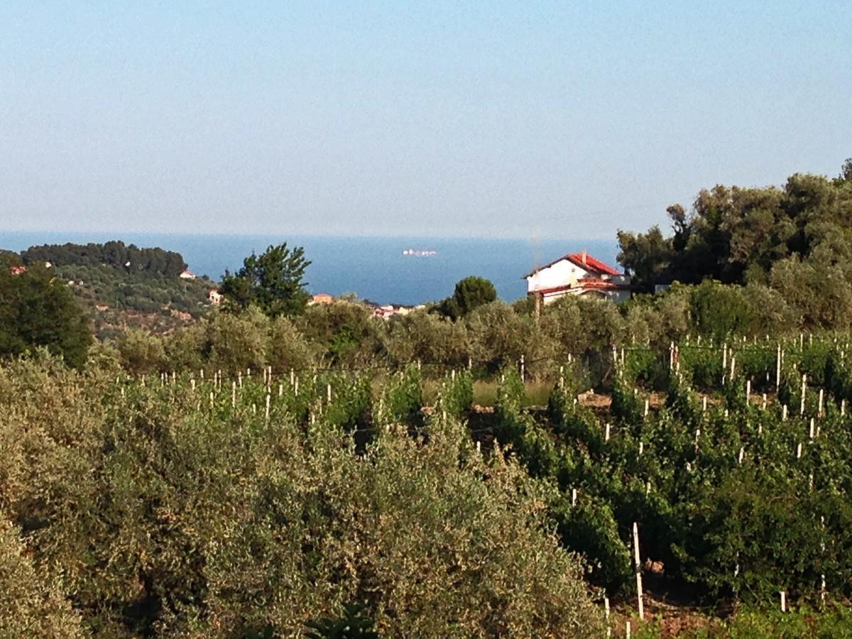 Agriturismo Ada Musso Ss Diano Borello Ruang foto