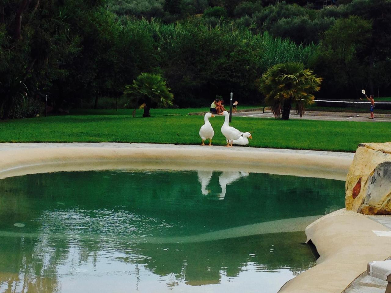 Agriturismo Ada Musso Ss Diano Borello Bagian luar foto
