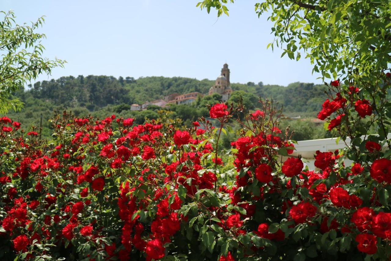 Agriturismo Ada Musso Ss Diano Borello Bagian luar foto